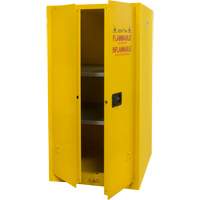 Flammable Storage Cabinet, 60 gal., 2 Door, 34" W x 65" H x 34" D NRZ Safety Inc.