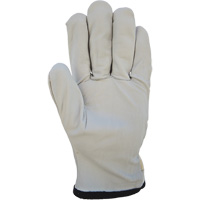Cotton-Backed Drivers Gloves, Large, Grain Goatskin Palm NRZ Safety Inc.