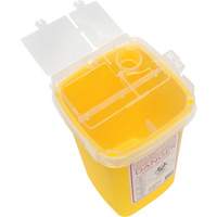 Sharps Container, 1 L Capacity NRZ Safety Inc.