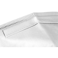 Respirateur jetable, N95, Certifi&eacute; NIOSH, Taille unique NRZ Safety Inc.