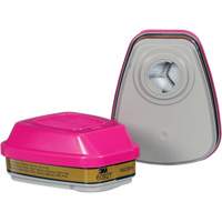 Cartouche, Combinaison cartouche et filtre contre les particules pour gaz/vapeurs, Gaz multiples/Vapeurs/P100 NRZ Safety Inc.