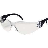 CeeTec Safety Glasses, Clear Lens, Anti-Fog/Anti-Scratch, Meets/Exceeds CSA Z94.3 NRZ Safety Inc.