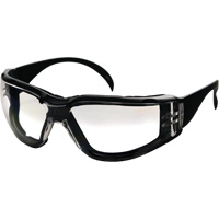 CeeTec DX Safety Glasses, Clear Lens, Anti-Fog/Anti-Scratch, Meets/Exceeds CSA Z94.3 NRZ Safety Inc.