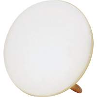 Lampe &agrave; luminoth&eacute;rapie pour le traitement de la d&eacute;pression saisonni&egrave;re NRZ Safety Inc.