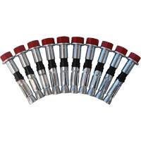 Replacement Bolt Kit for Concrete D-Ring Anchors, Bolt-On, Permanent/Temporary Use NRZ Safety Inc.