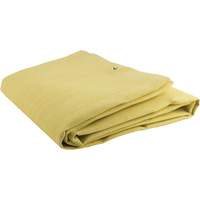 Acrylic Coated Fiberglass Blanket, 6' W x 6' L, Rated Up To 300 °F NRZ Safety Inc.