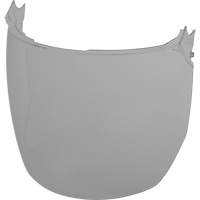 Face Shield Replacement Lenses, Polycarbonate, Grey/Smoke Tint NRZ Safety Inc.