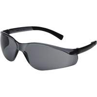 X300 Safety Glasses, Smoke Lens, Anti-Scratch, ANSI Z87+/Meets/Exceeds CSA Z94.3 NRZ Safety Inc.