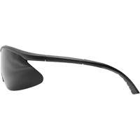 Lunettes de s&eacute;curit&eacute; Banraj, Lentille Fum&eacute;e, Anti-&eacute;gratignures, ANSI Z87+/MCEPS GL-PD 10-12/R&eacute;pond ou surpasse la norme CSA Z94.3 NRZ Safety Inc.