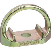 CP-10011-2 Anchor with 5/8" Hole, Bolt-On, Permanent Use NRZ Safety Inc.