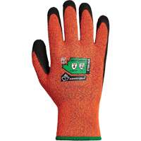 Gants d'hiver r&eacute;sistants &agrave; la coupe Dexterity TKTAGLX, Taille Moyen, Calibre 13, Rev&ecirc;tement Latex, Enveloppe en TenActiv, ASTM ANSI niveau A3 NRZ Safety Inc.
