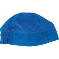 Cooling Skull Cap, Blue NRZ Safety Inc.