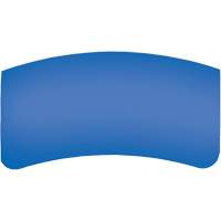 Lentille ext&eacute;rieure Bullard GenVX PETG NRZ Safety Inc.