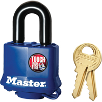 Cadenas r&eacute;sistant aux intemp&eacute;ries, Cl&eacute;s diff&eacute;rentes, Acier lamin&eacute;, Largeur de 1-9/16" NRZ Safety Inc.