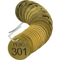 Numbered "PLPG" Valve Tags, # 301-325, Brass, 1.5" dia NRZ Safety Inc.