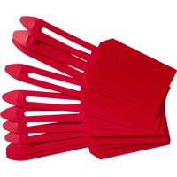 Blank Plastic Lock-On Tags, Plastic, 3-1/4" W x 5-4/5" H, Blank NRZ Safety Inc.