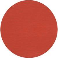 Roloc 787C Fibre Disc, Ceramic, 36+, 2" Dia NRZ Safety Inc.