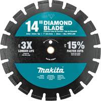 Lame diamant segment&eacute;e, double usage NRZ Safety Inc.
