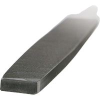 Second Cut Flat File NRZ Safety Inc.