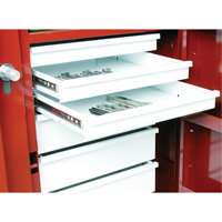 Rolling Work Bench, 49-7/8" W x 40-5/8" H x 26-7/8" D, 24.6 Cubic Feet Capacity NRZ Safety Inc.