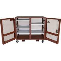 Armoire mobile en treillis, Acier, 49 pi³, Rouge NRZ Safety Inc.