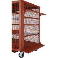 Mobile Mesh Cabinet, Steel, 37 Cubic Feet, Red NRZ Safety Inc.