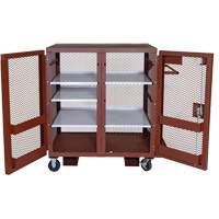 Mobile Mesh Cabinet, Steel, 37 Cubic Feet, Red NRZ Safety Inc.
