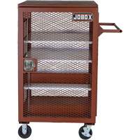 Mobile Mesh Cabinet, Steel, 22 Cubic Feet, Red NRZ Safety Inc.