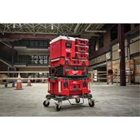 Packout Compact Cooler, 16 qt. Capacity NRZ Safety Inc.