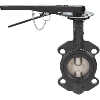 Robinets &agrave; papillon - s&eacute;rie BFV, Tuyau de 2", 225 PSI NRZ Safety Inc.