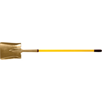 Pelles NRZ Safety Inc.