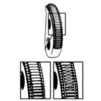 &eacute;lingue l&egrave;ve-t&ocirc;le GXL, 2000 lb (1 tonne), Ouverture de la m&acirc;choire de 1/16" - 3/4" NRZ Safety Inc.
