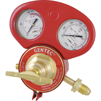 153 Series - Gauge Protectors NRZ Safety Inc.