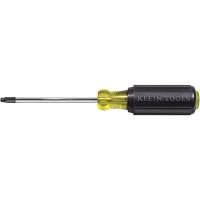 Tournevis Klein a/manche caoutchout&eacute;-Tournevis Torx &agrave; tige ronde NRZ Safety Inc.