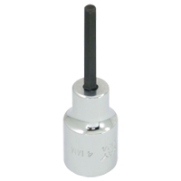 Embout de rechange, 5 mm x 1-1/5" lo, Prise 3/8" NRZ Safety Inc.