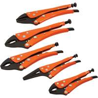 Straight Curved & Long Nose Locking Pliers Set, 5 Pieces NRZ Safety Inc.