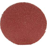 Roloc Disc 361F, 1-1/2" Dia., P100 Grit, Aluminum Oxide NRZ Safety Inc.