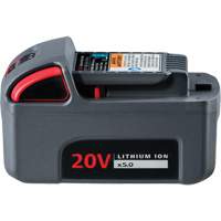 IQV20 High Capacity Battery, Lithium-Ion, 20 V, 5 Ah NRZ Safety Inc.