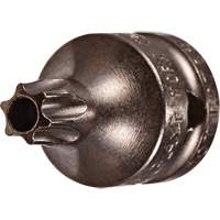 Embout &agrave; ins&eacute;rer, Torx inviolable, 8 x 3/4" lo, Prise 1/4" NRZ Safety Inc.