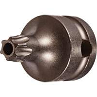 Embout &agrave; ins&eacute;rer, Torx inviolable, 25 x 1" lo, Prise 3/8" NRZ Safety Inc.