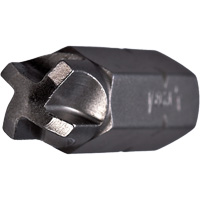 Insert Bit, Torq-Set&reg;, 5/16", 5/16" Drive NRZ Safety Inc.