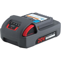 IQV20 Series Battery, Lithium-Ion, 20 V, 2.5 Ah NRZ Safety Inc.