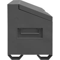 Boîte de rangement &agrave; couvercle inclin&eacute; pour le chantier, 60" x 30" x 39-3/8", Acier, Gris NRZ Safety Inc.