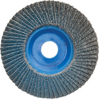 Disque &agrave; lamelles &agrave; grain grossier BlueFire, 5" x 7/8", Type 27, Grain 60, Alumine de zirconium NRZ Safety Inc.