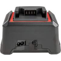 Chargeur de batterie 2,5 Ah et 5,0 Ah, 120 V, Lithium-ion NRZ Safety Inc.
