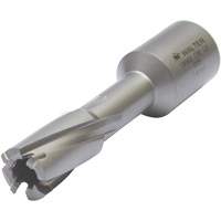 Core Cut Annular Cutter with Weldon Shank, 12 mm Diameter, Carbide, 30 mm Depth of Cut, 3/4" Shank NRZ Safety Inc.