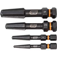 Bolt Biter Screw Extractor Set, High Speed Steel, 4 Pieces NRZ Safety Inc.