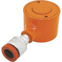 Hydraulic Rams, 0.625" Stroke, 4 Ton(s) Capacity NRZ Safety Inc.