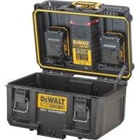 Chargeur 20V &agrave; deux ports ToughSystem 2.0, 14" x 15" x 9", Noir/Jaune NRZ Safety Inc.