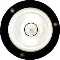 Niveau Bull's-Eye NRZ Safety Inc.